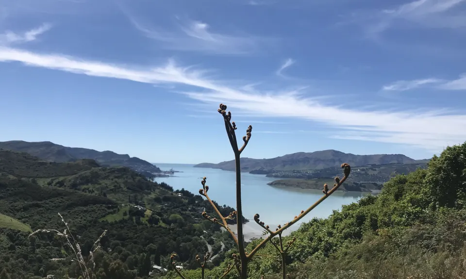 Port Hills Protocol, Canterbury