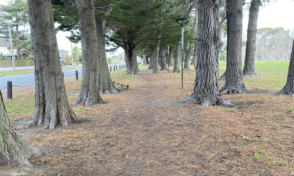 Taiora Track, Canterbury
