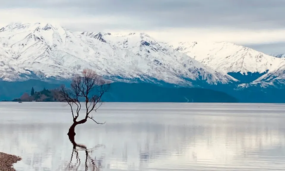 Around Roys Bay, Otago