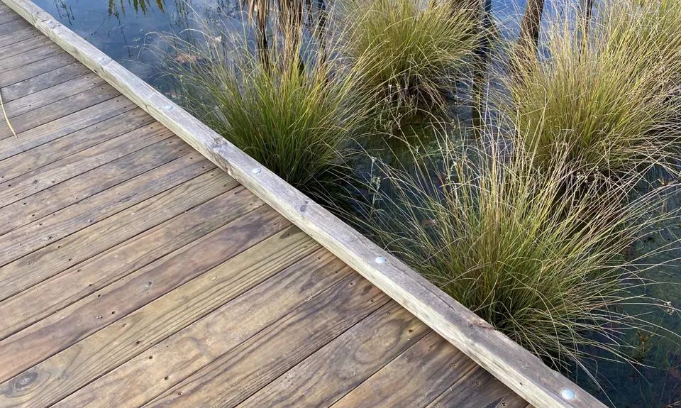 Taiora Track, Canterbury