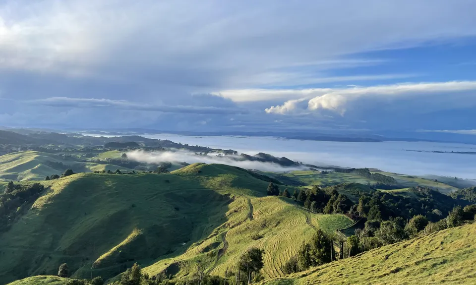 Mt William Wacky Walkway, Auckland