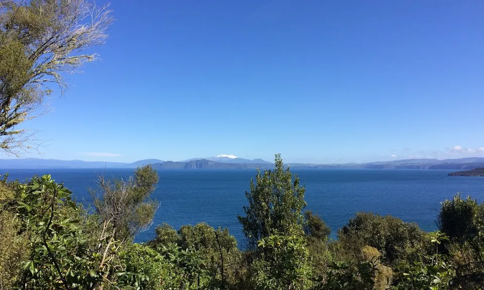 W2K, Waikato
