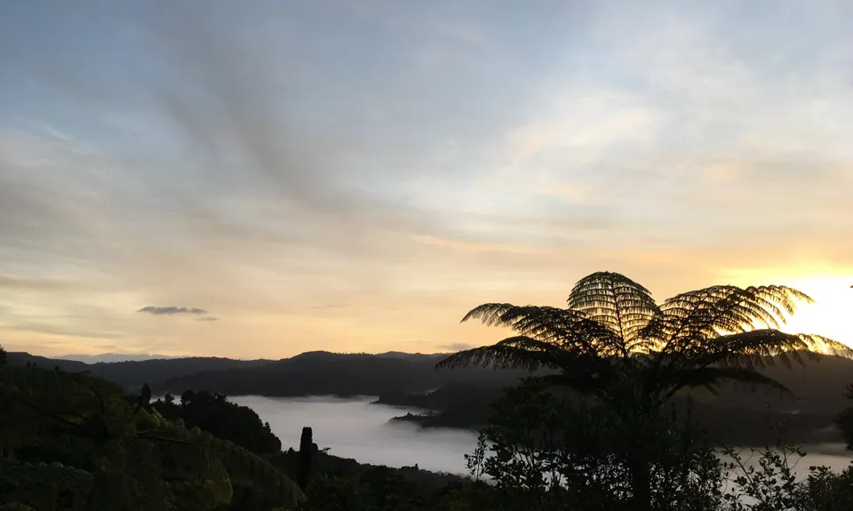 Rata Ridge - Hunua, Auckland