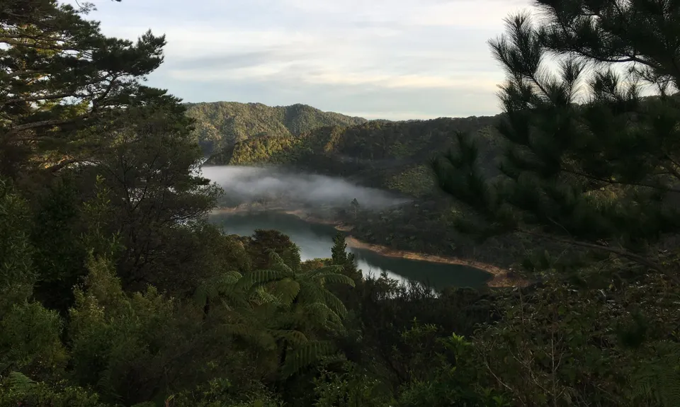 Rata Ridge - Hunua, Auckland
