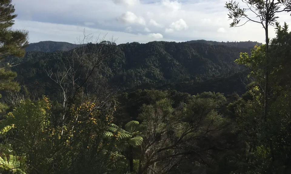 Rata Ridge - Hunua, Auckland
