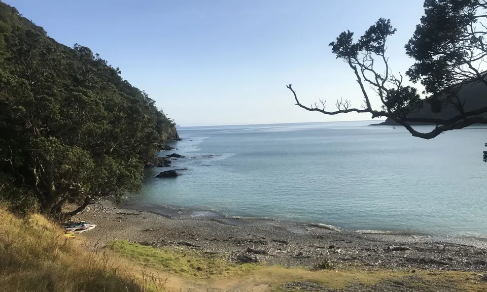 Top of the Coromandel, Waikato