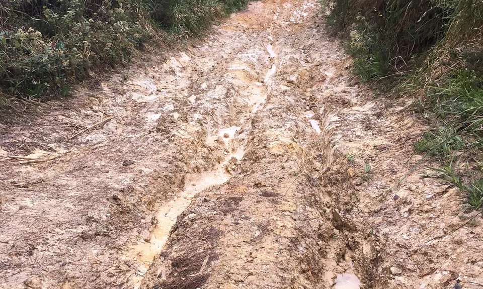 Riverhead Blast, Auckland