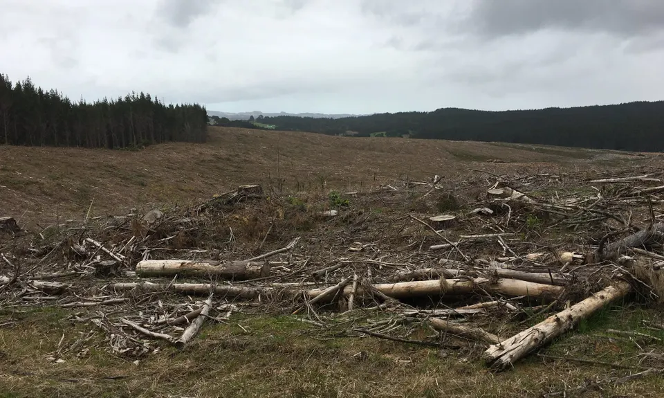 Riverhead Blast, Auckland