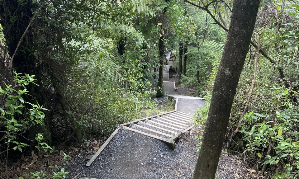 Hilly Hakarimata, Waikato