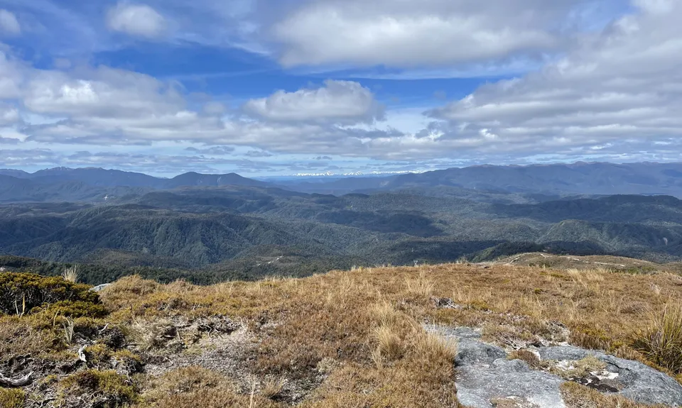 Mt William Loop, West Coast