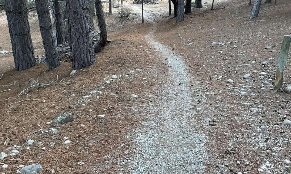 Tekapo Tiki Tour, Canterbury