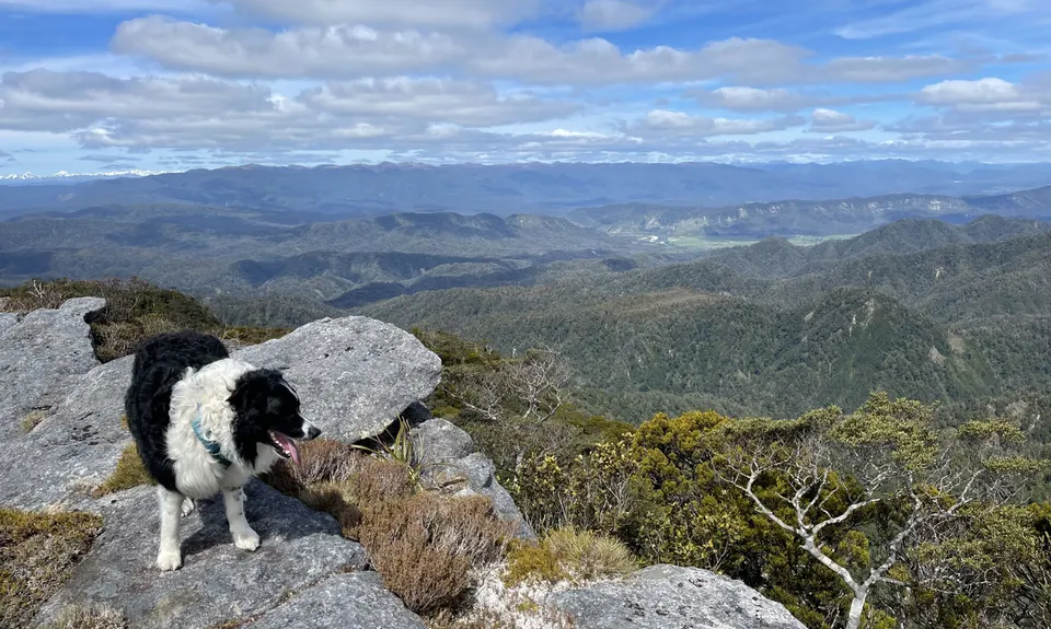 Mt William Loop, West Coast