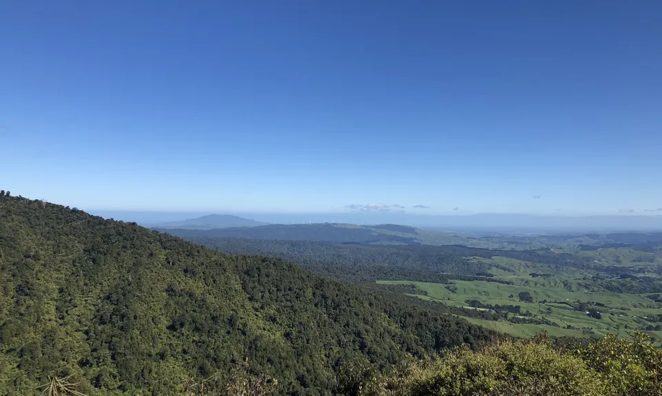 Ruapane Leg Burner, Waikato