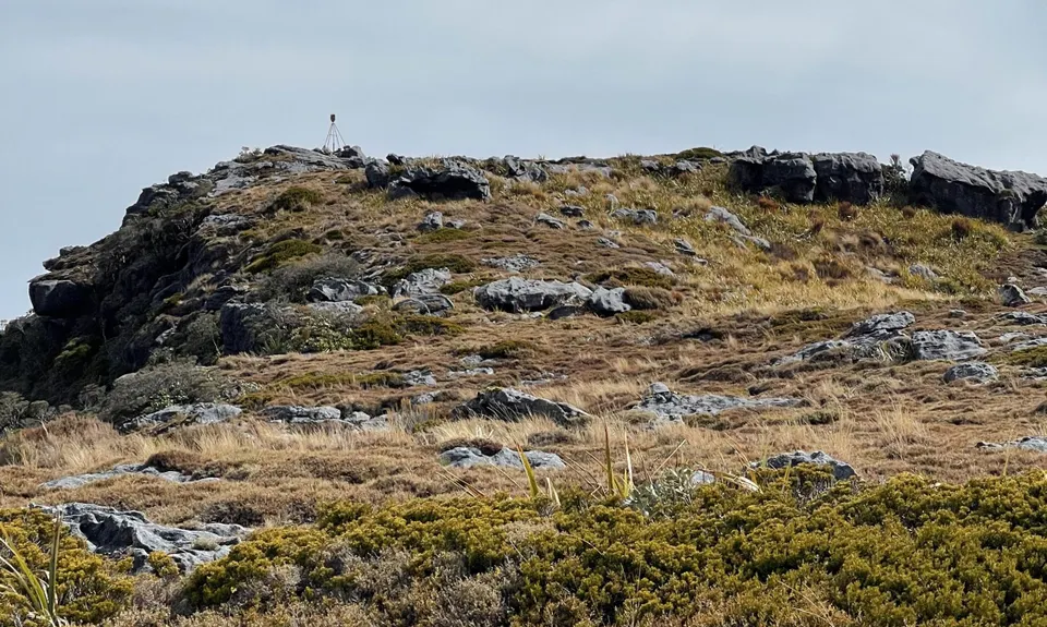 Mt William Loop, West Coast