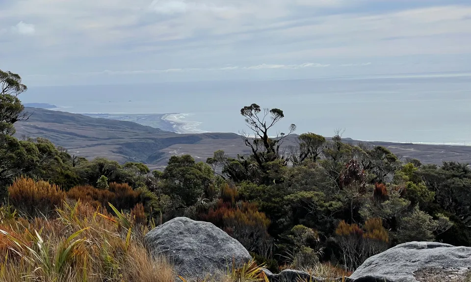 Mt William Loop, West Coast