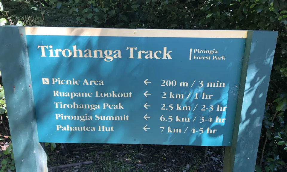 Ruapane Leg Burner, Waikato