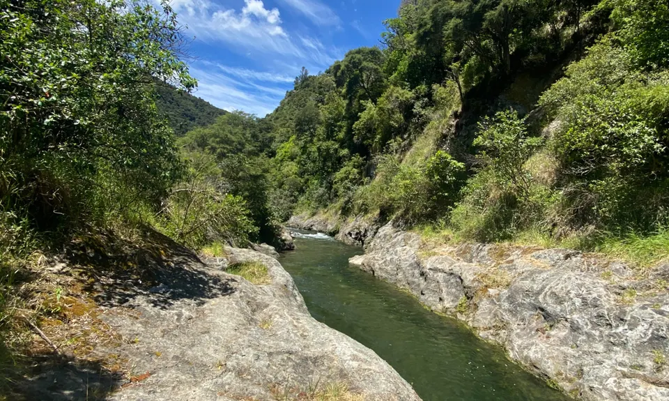 Wet Feet, Bay of Plenty