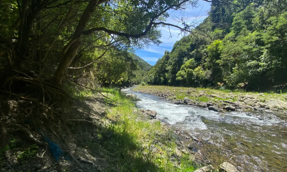 Wet Feet, Bay of Plenty