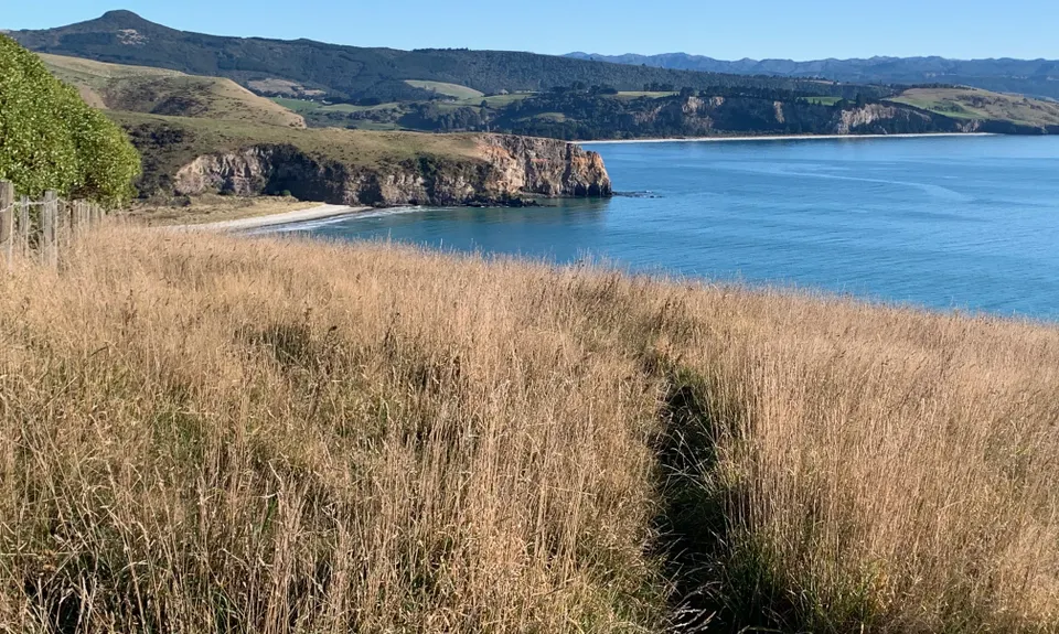 Heyward Point, Otago