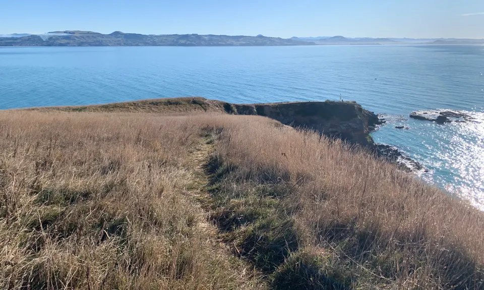 Heyward Point, Otago