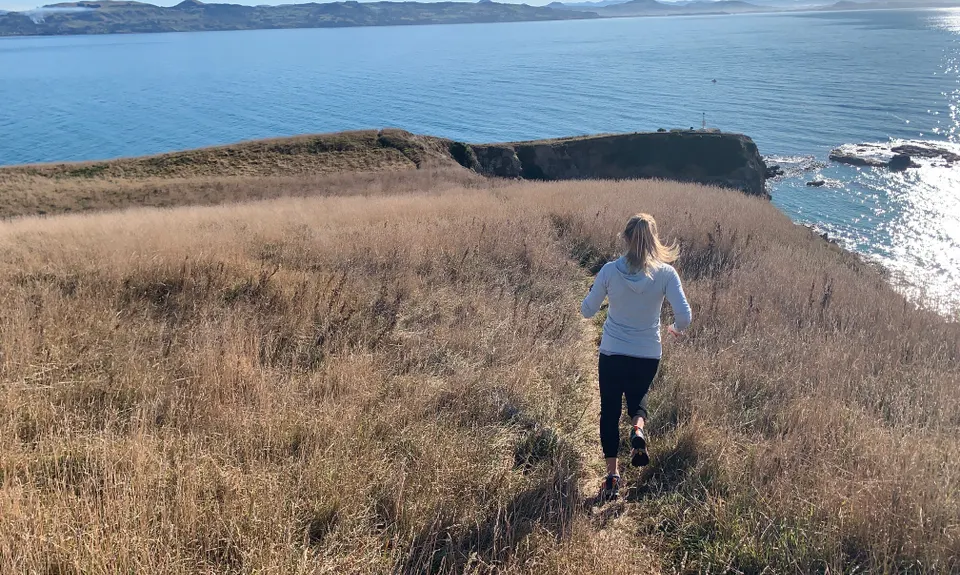 Heyward Point, Otago