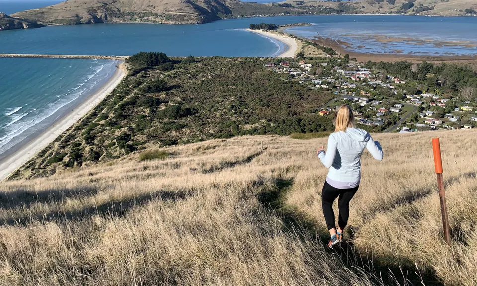 Heyward Point, Otago