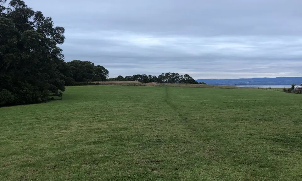 Kauri Point Kaper, Bay of Plenty
