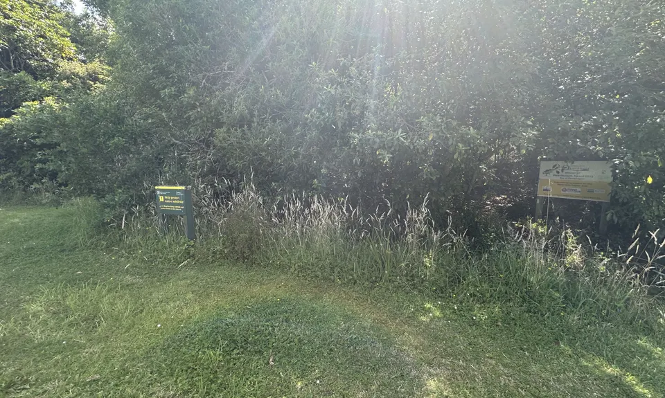 Tennent's and Mistletoe Loop, Bay of Plenty