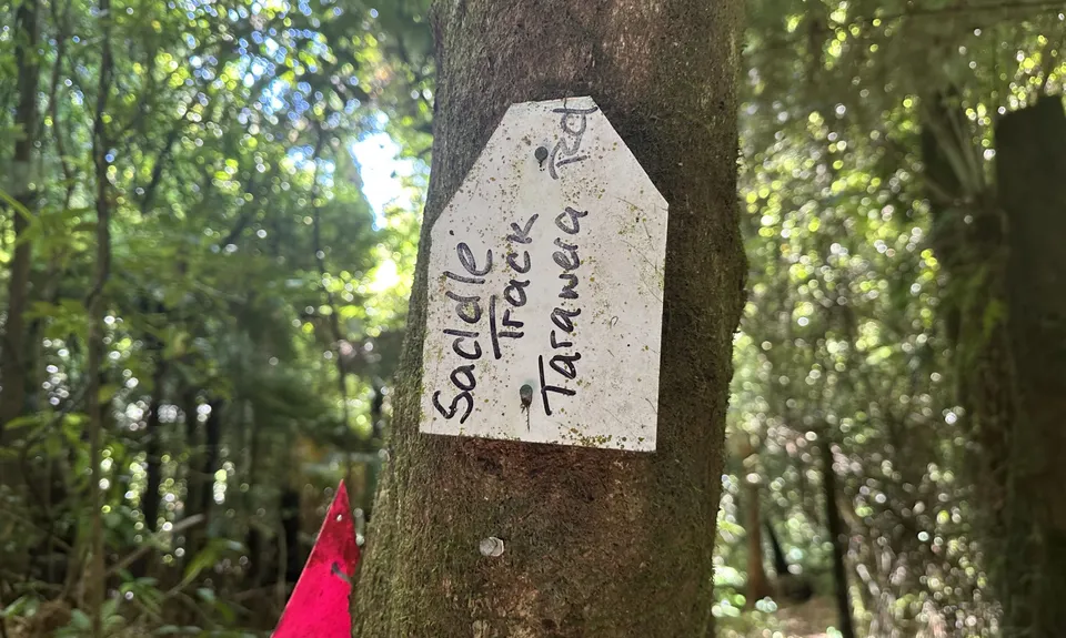 Tennent's and Mistletoe Loop, Bay of Plenty