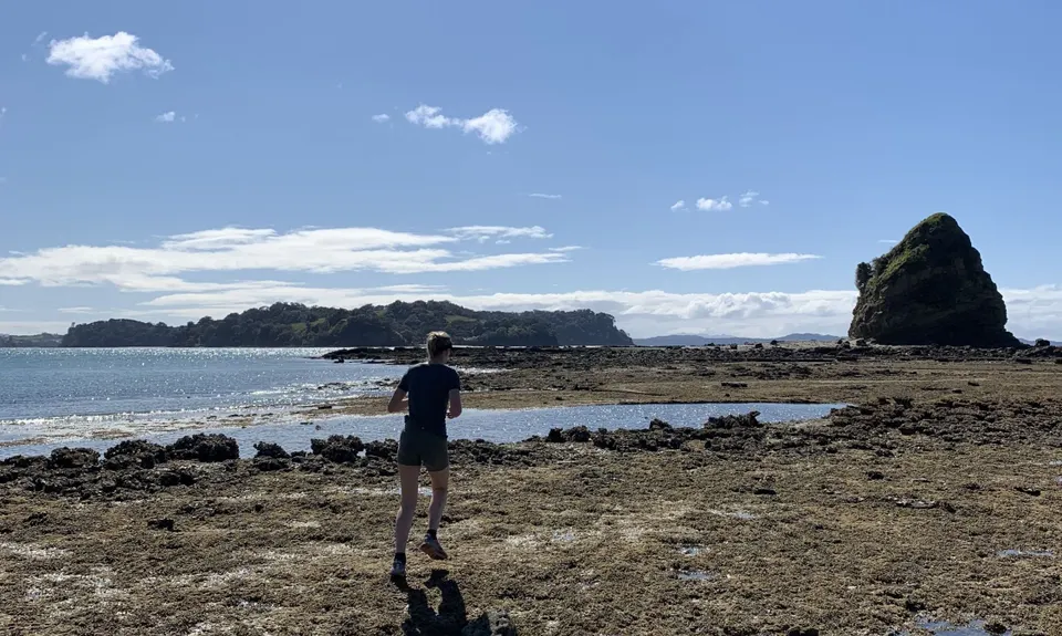 Low Tide at Mahurangi West, Auckland