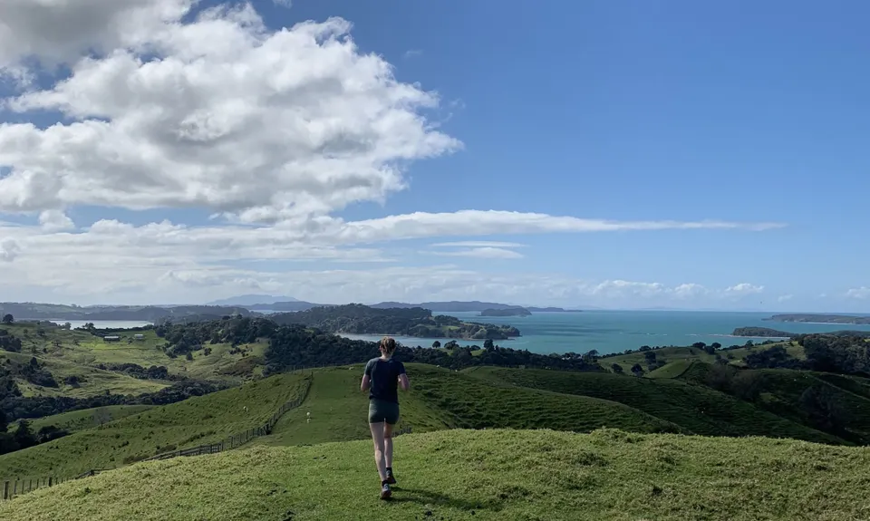 Low Tide at Mahurangi West, Auckland