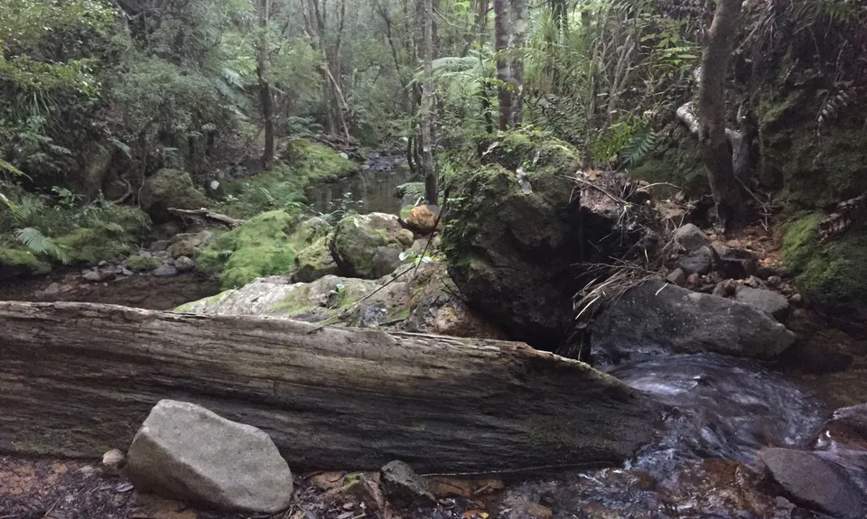 Lynched at Sailors Grave, Waikato