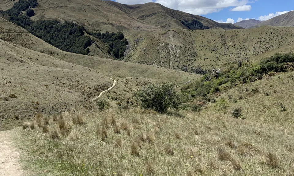 Sawpit Gully - German Hill, Otago