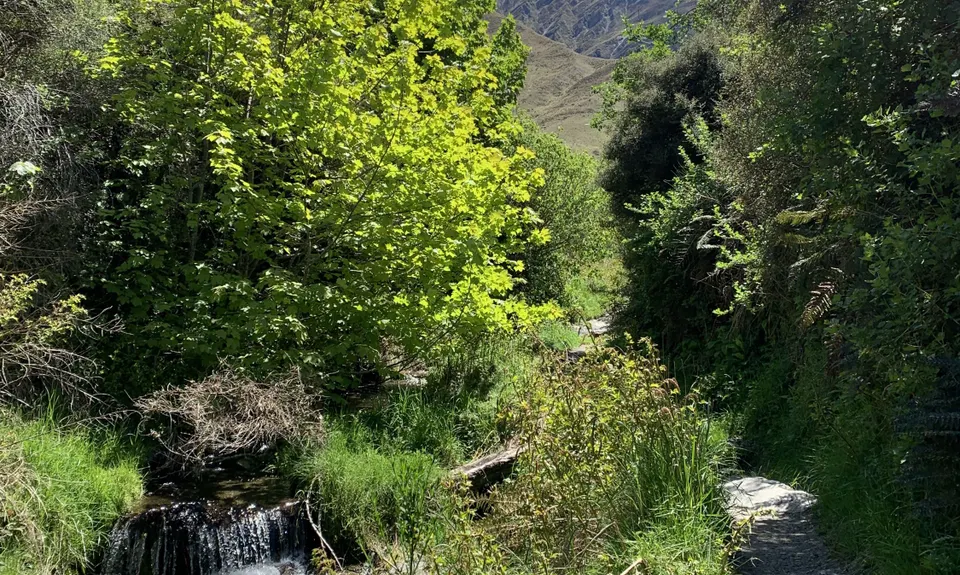 Sawpit Gully - German Hill, Otago