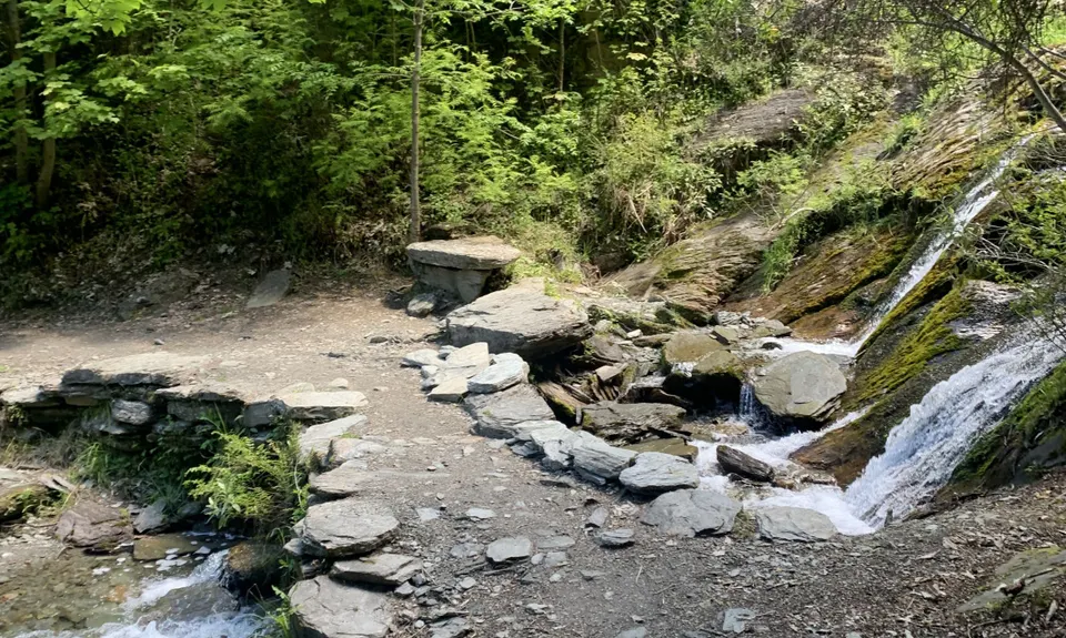 Sawpit Gully - German Hill, Otago
