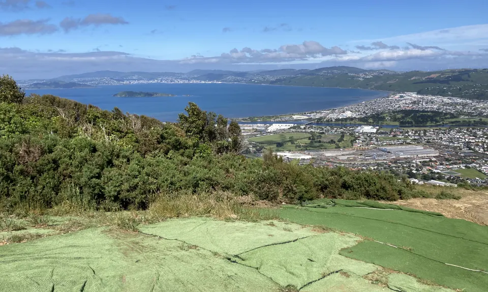 Te Whiti Firebreak Calf Burn, Wellington