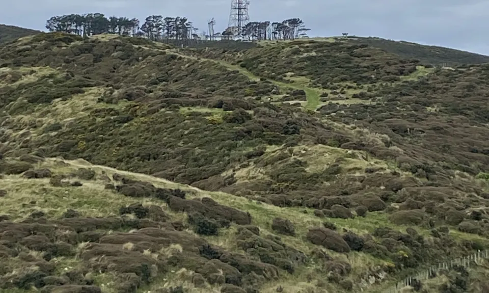Full Wellington Skyline Trail , Wellington
