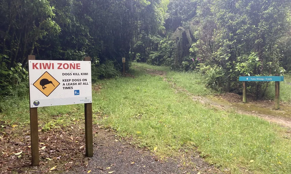 Wainuiomata Recreation Area, Wellington