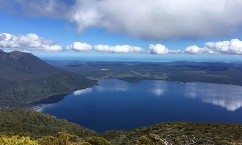 Mount Te Kinga, West Coast