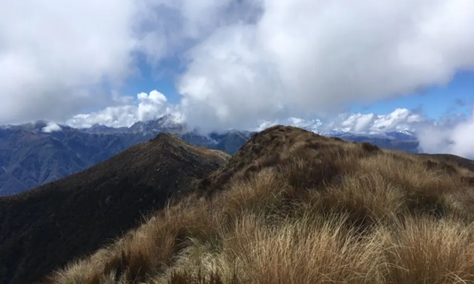 Mount Te Kinga, West Coast