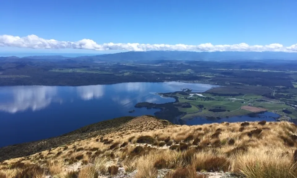 Mount Te Kinga, West Coast