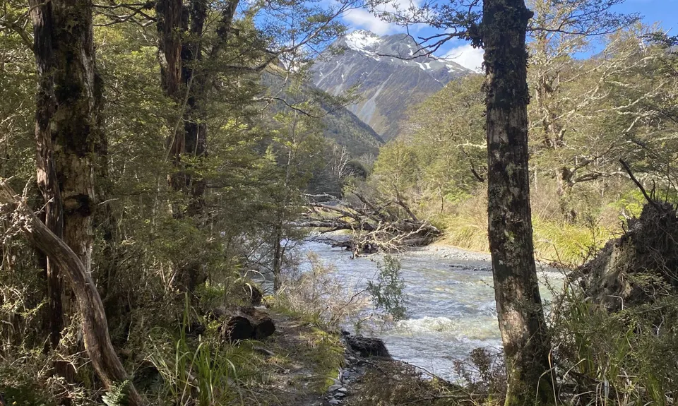 St James Walkway, West Coast