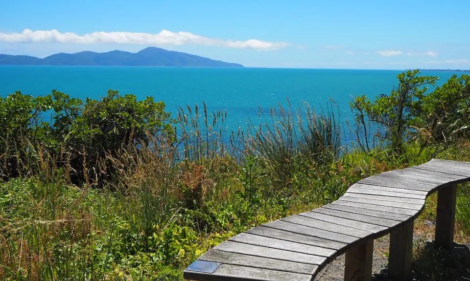 Escarpment Track, Wellington