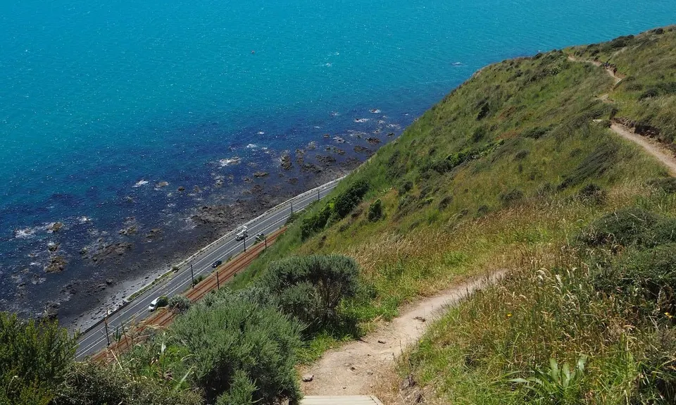Escarpment Track, Wellington