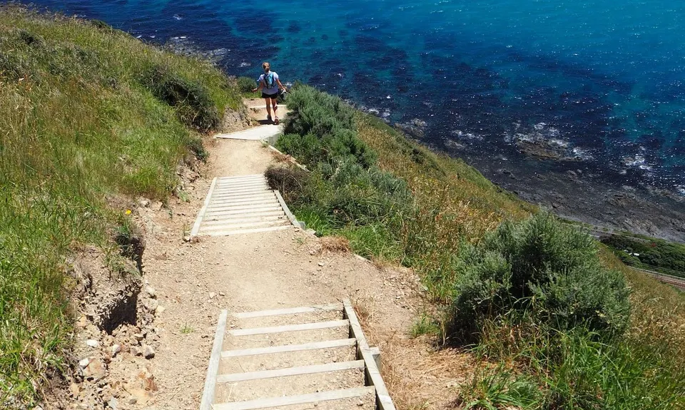 Escarpment Track, Wellington