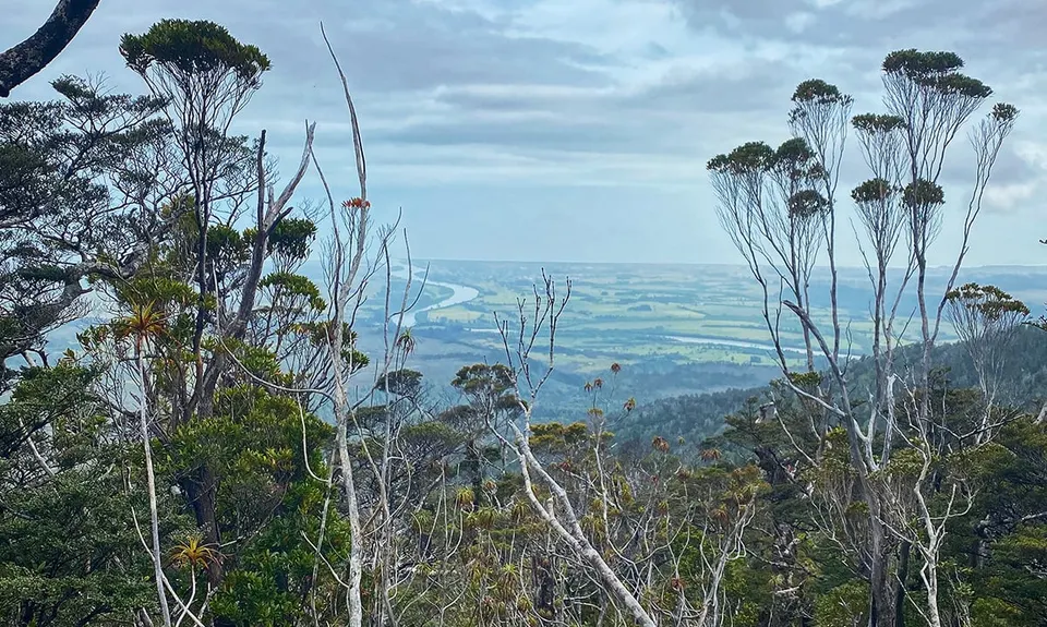 Buckland Peaks, West Coast