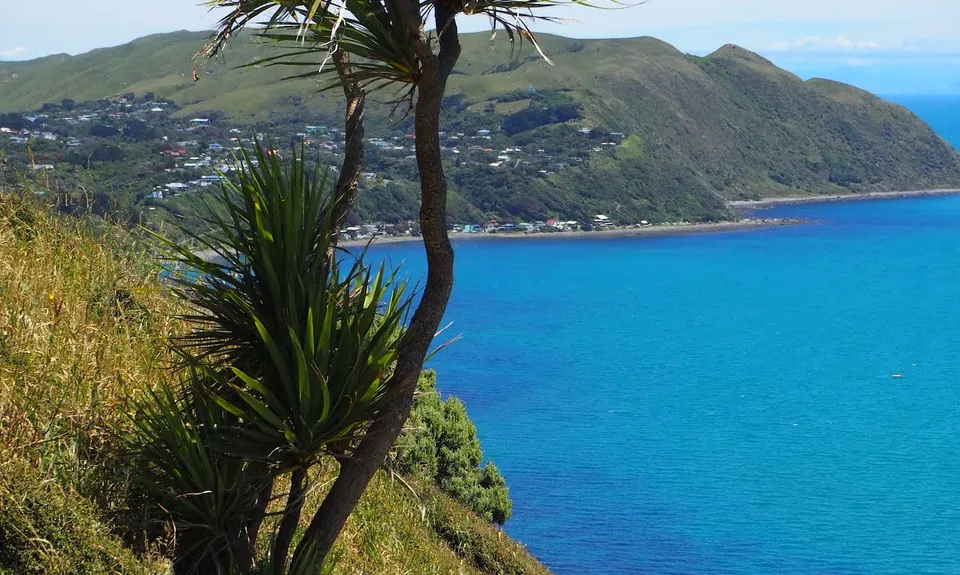 Escarpment Track, Wellington