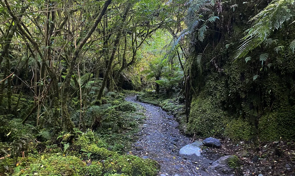 Roberts Point Track, West Coast
