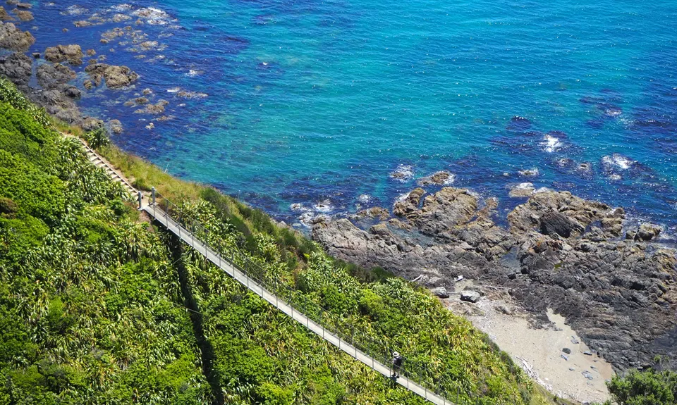 Escarpment Track, Wellington