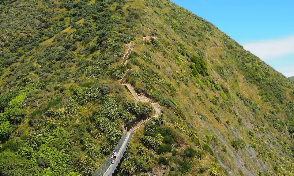 Escarpment Track, Wellington